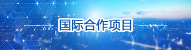 國際合作項(xiàng)目
